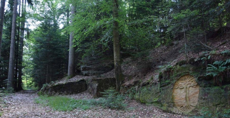 L'arboretum de la Hutte, Hennezel, France, France